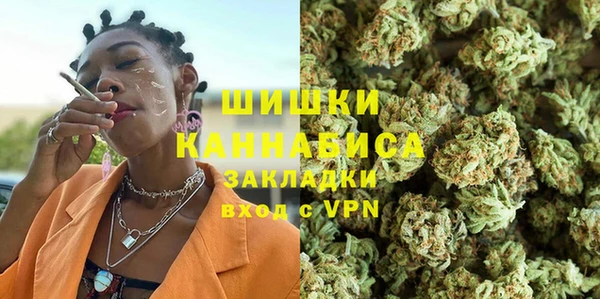 apvp Гусь-Хрустальный