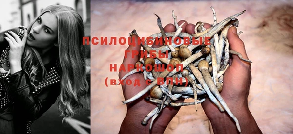 мяу мяу кристалл Гусиноозёрск