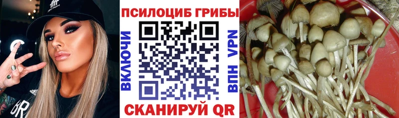 Галлюциногенные грибы мицелий  наркота  Павловская 